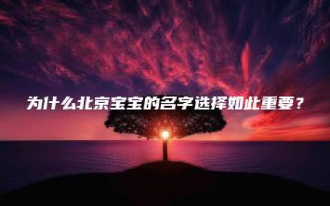 为什么北京宝宝的名字选择如此重要？