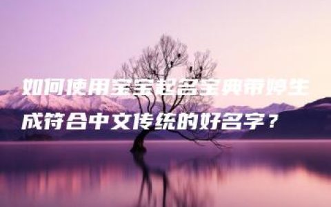 如何使用宝宝起名宝典带婷生成符合中文传统的好名字？