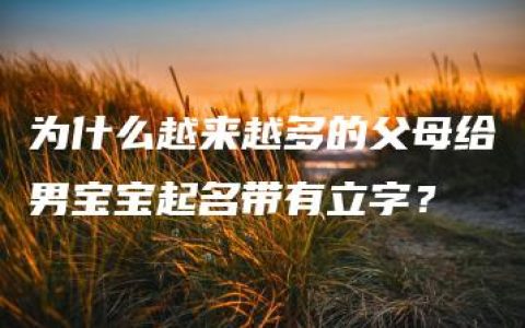 为什么越来越多的父母给男宝宝起名带有立字？