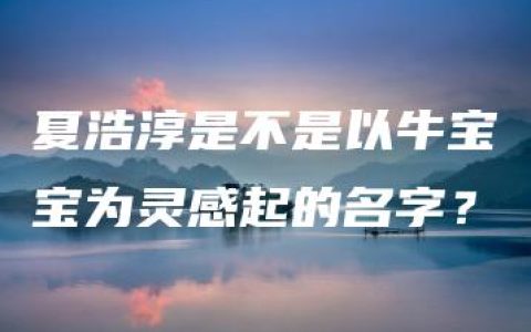 夏浩淳是不是以牛宝宝为灵感起的名字？