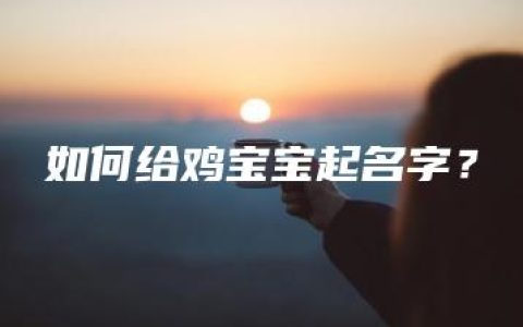 如何给鸡宝宝起名字？