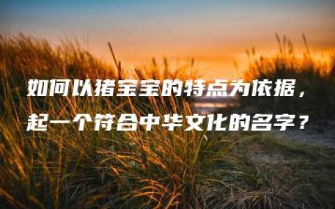 如何以猪宝宝的特点为依据，起一个符合中华文化的名字？