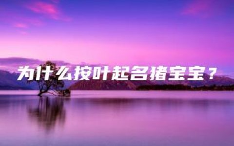 为什么按叶起名猪宝宝？