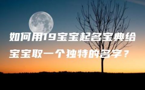 如何用19宝宝起名宝典给宝宝取一个独特的名字？