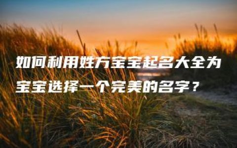 如何利用姓方宝宝起名大全为宝宝选择一个完美的名字？