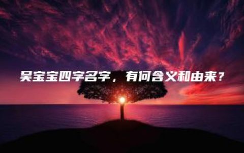 吴宝宝四字名字，有何含义和由来？