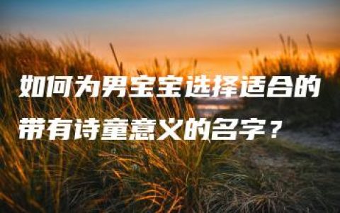 如何为男宝宝选择适合的带有诗童意义的名字？