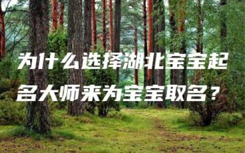 为什么选择湖北宝宝起名大师来为宝宝取名？