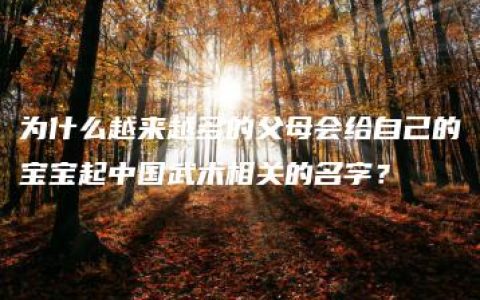 为什么越来越多的父母会给自己的宝宝起中国武术相关的名字？