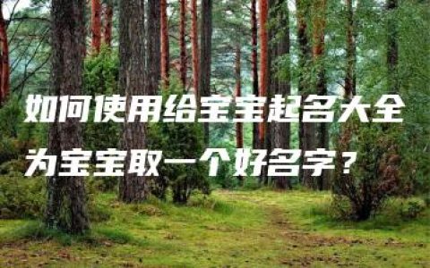 如何使用给宝宝起名大全为宝宝取一个好名字？