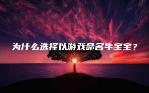 为什么选择以游戏命名牛宝宝？