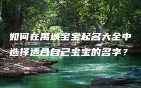 如何在禹城宝宝起名大全中选择适合自己宝宝的名字？