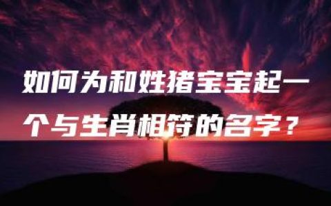 如何为和姓猪宝宝起一个与生肖相符的名字？