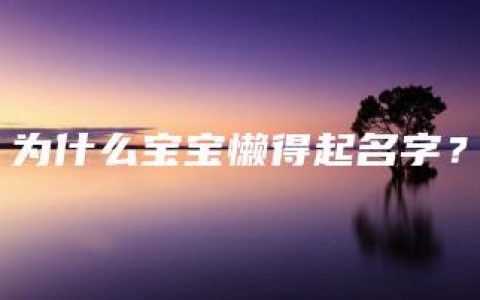 为什么宝宝懒得起名字？