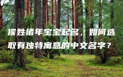 侯姓猪年宝宝起名，如何选取有独特寓意的中文名字？