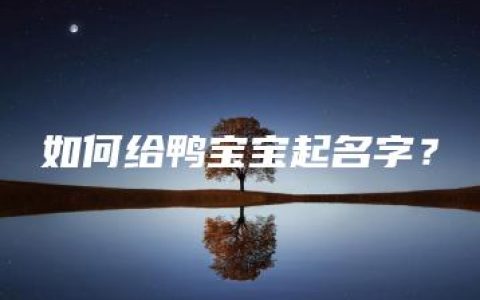 如何给鸭宝宝起名字？