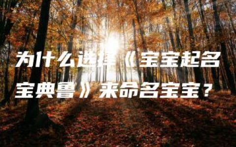 为什么选择《宝宝起名宝典鲁》来命名宝宝？