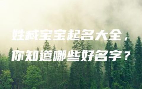 姓臧宝宝起名大全，你知道哪些好名字？