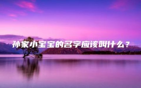 孙家小宝宝的名字应该叫什么？