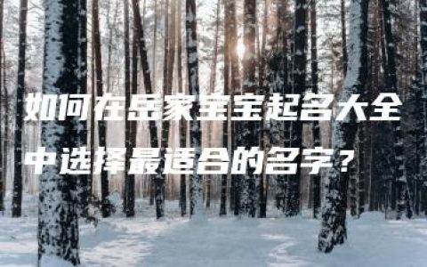 如何在岳家宝宝起名大全中选择最适合的名字？