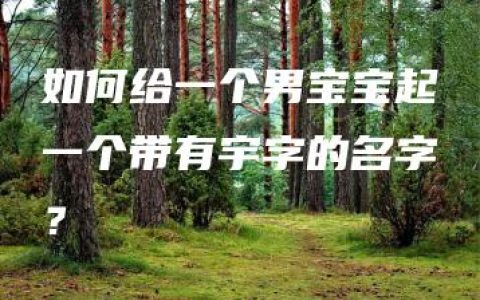 如何给一个男宝宝起一个带有宇字的名字？