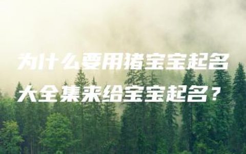 为什么要用猪宝宝起名大全集来给宝宝起名？