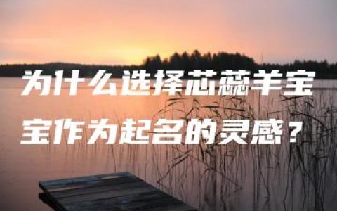 为什么选择芯蕊羊宝宝作为起名的灵感？