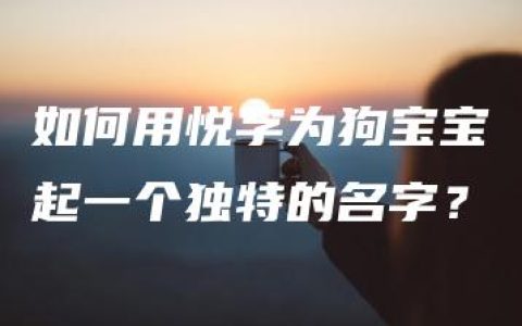 如何用悦字为狗宝宝起一个独特的名字？