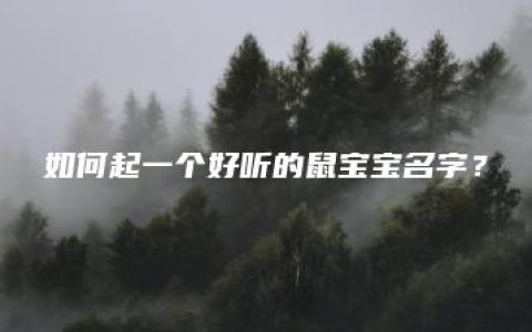 如何起一个好听的鼠宝宝名字？