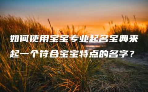 如何使用宝宝专业起名宝典来起一个符合宝宝特点的名字？