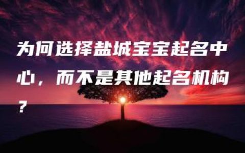 为何选择盐城宝宝起名中心，而不是其他起名机构？