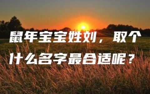 鼠年宝宝姓刘，取个什么名字最合适呢？