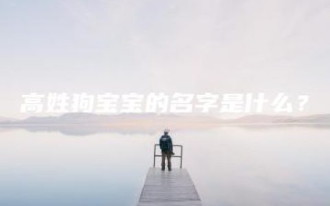 高姓狗宝宝的名字是什么？