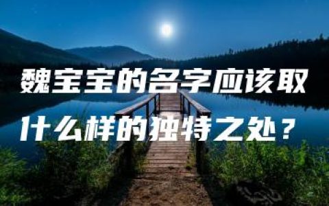 魏宝宝的名字应该取什么样的独特之处？