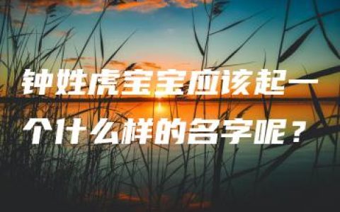 钟姓虎宝宝应该起一个什么样的名字呢？