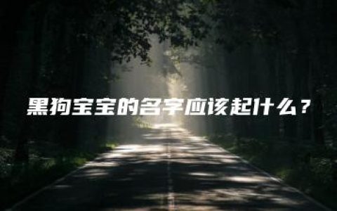 黑狗宝宝的名字应该起什么？