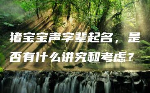 猪宝宝声字辈起名，是否有什么讲究和考虑？