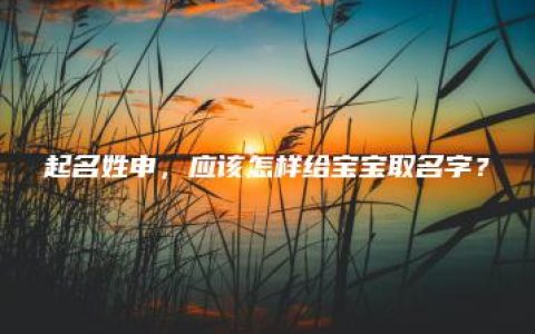 起名姓申，应该怎样给宝宝取名字？