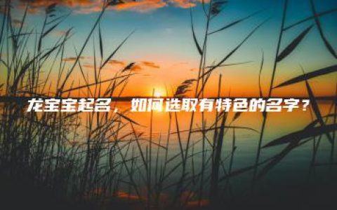 龙宝宝起名，如何选取有特色的名字？