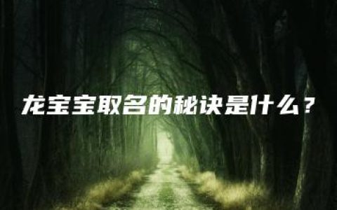 龙宝宝取名的秘诀是什么？