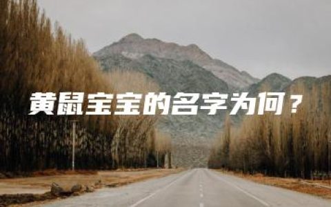 黄鼠宝宝的名字为何？