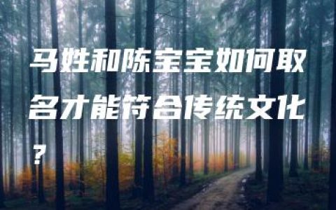 马姓和陈宝宝如何取名才能符合传统文化？