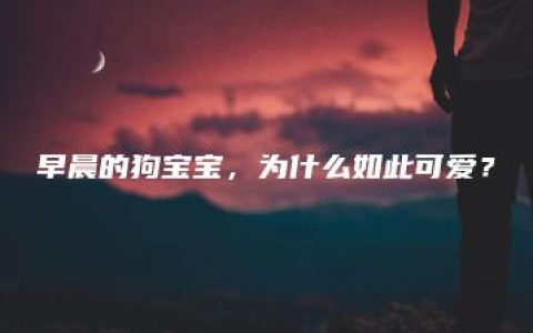 早晨的狗宝宝，为什么如此可爱？