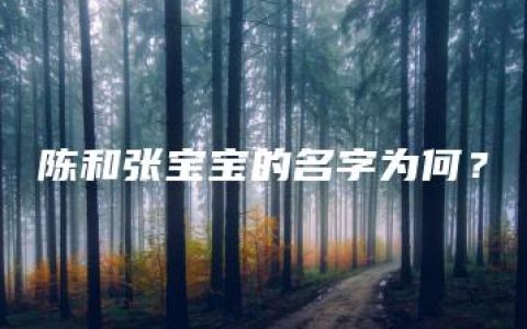 陈和张宝宝的名字为何？