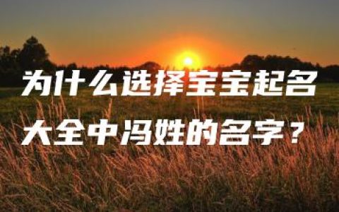 为什么选择宝宝起名大全中冯姓的名字？