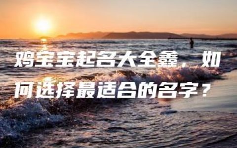 鸡宝宝起名大全鑫，如何选择最适合的名字？