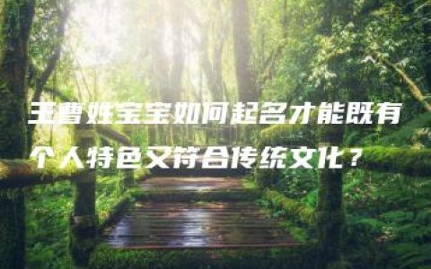 王曹姓宝宝如何起名才能既有个人特色又符合传统文化？