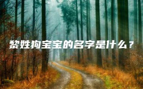 黎姓狗宝宝的名字是什么？