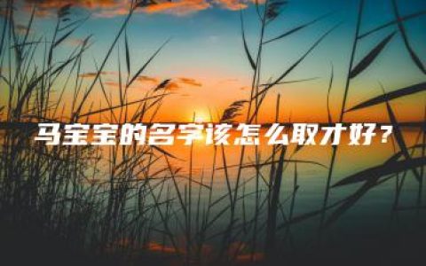 马宝宝的名字该怎么取才好？