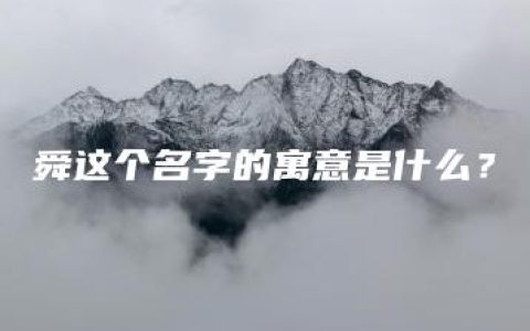 舜这个名字的寓意是什么？